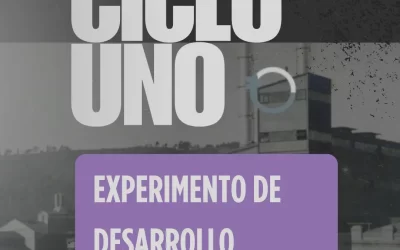 Ciclo 1: 1950-1970.Experimento de desarrollo