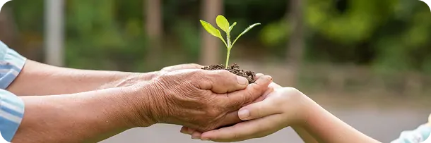 Imagen de medio ambiente y sostenibilidad